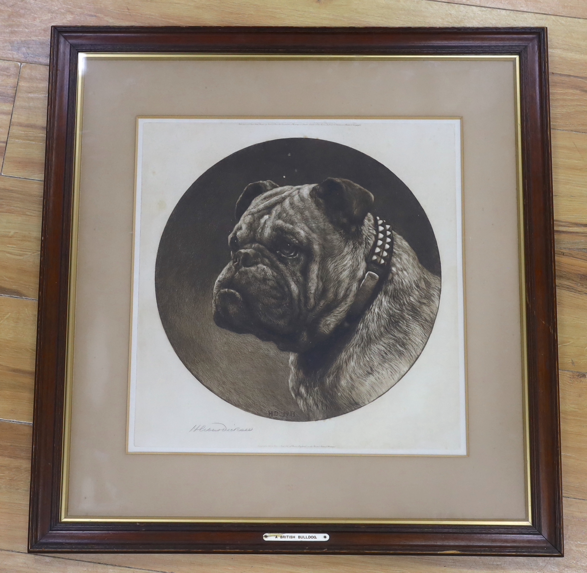 Herbert Dicksee (1862-1942), etching, A British Bull Dog, signed in pencil, publ. 1913, 43 x 42cm
